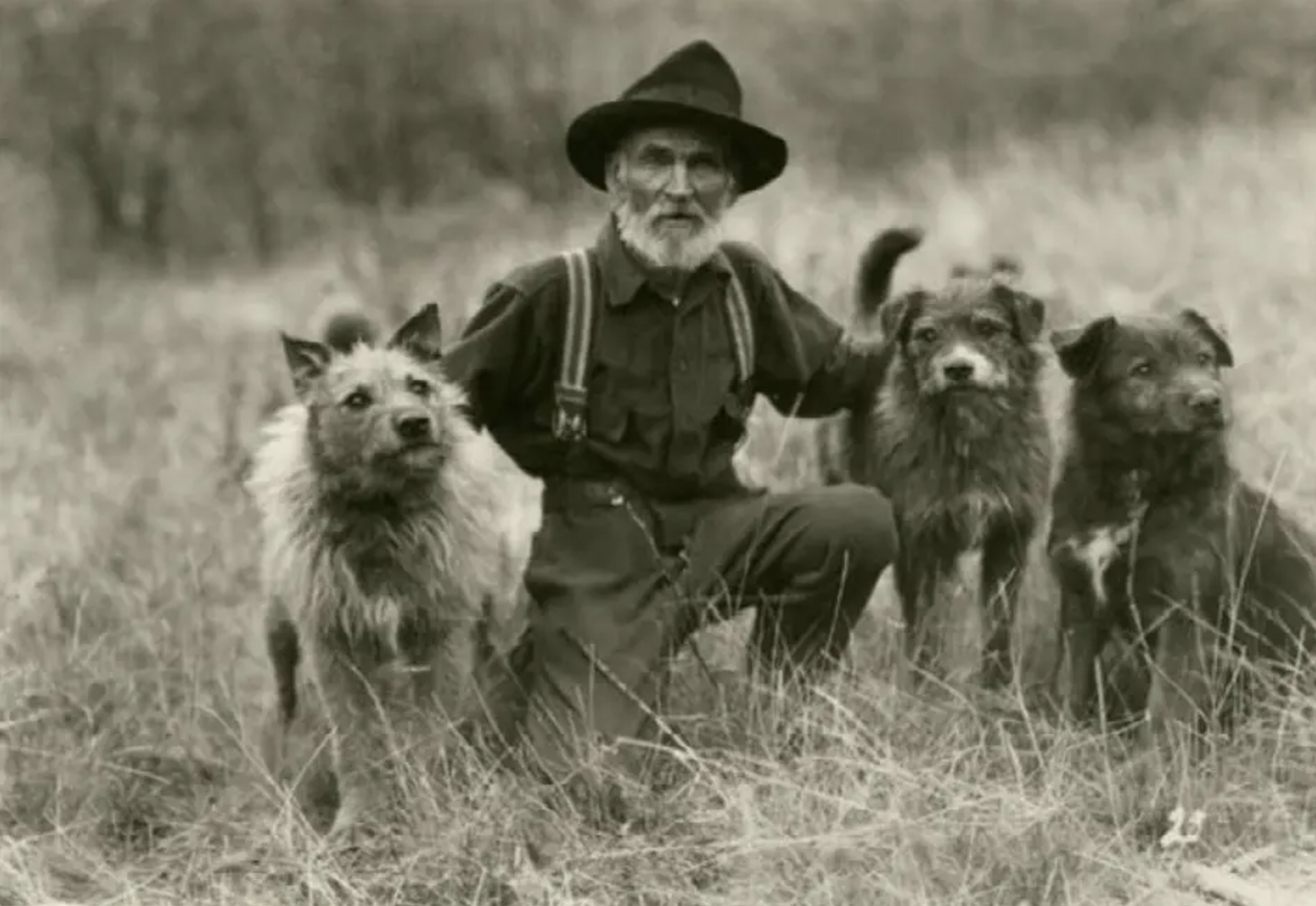 Cougar Dave and his 3 best Cougar Dogs from Donnelly Idaho